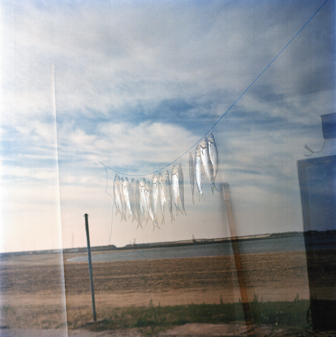 005_FIS